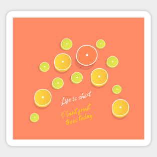 Life is Short Citrus Fruit Sticker